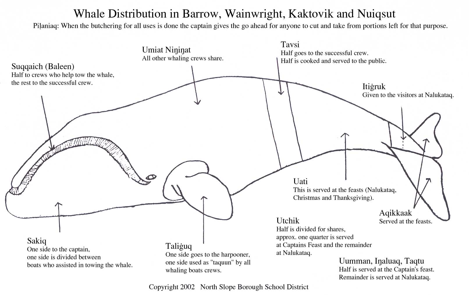 whale harvesting diagram